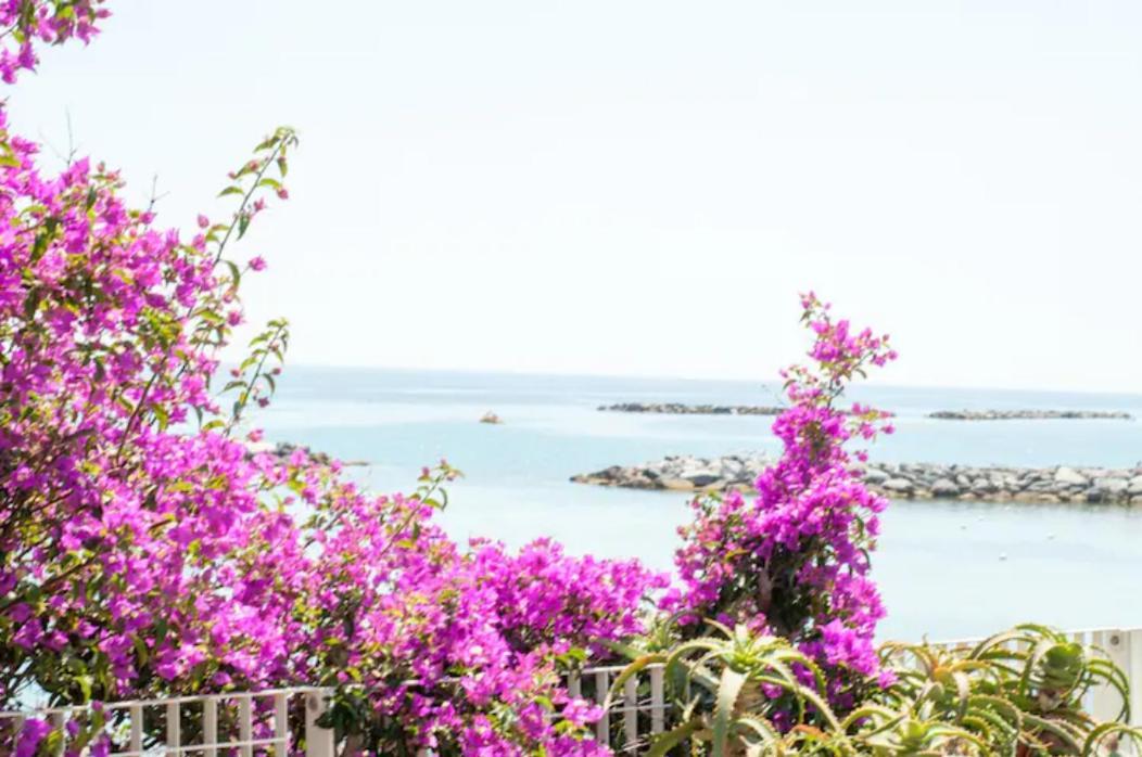 Giardino In Citta; Centralissimo San Remo Zewnętrze zdjęcie