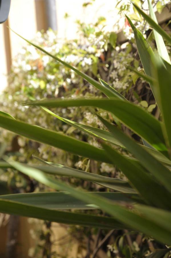 Giardino In Citta; Centralissimo San Remo Zewnętrze zdjęcie